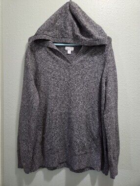 Market & Spruce Hooded Sweater
